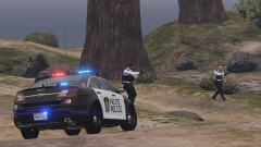 FiveM_GTAProcess_JjKnefTmTC.png