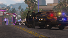 FiveM_GTAProcess_UnfyaOx721.png
