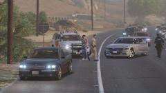 FiveM_GTAProcess_YAKaLF6lAj.png