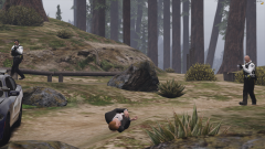 FiveM_GTAProcess_euer8Wc6na.png