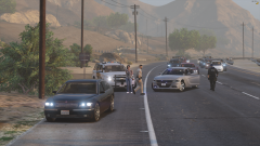 FiveM_GTAProcess_t0NSGePZhN.png