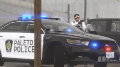FiveM_GTAProcess_w3sEkrhhTa.png
