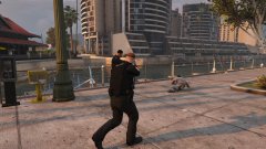 Los Santos Port Police [LSPP]