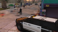 Los Santos Port Police [LSPP]