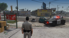 end of pursuit vv.png