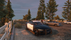 harassing them vv.png