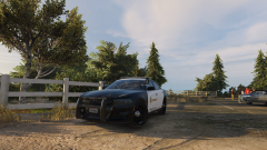 at the car meet vv.png