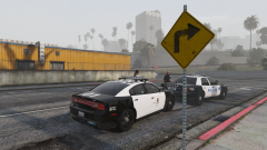 assisting del perro od vv.png