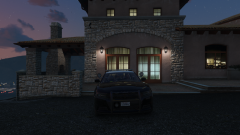 into the night vv.png