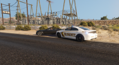 Stopping a Murder Suspect