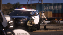 Grand Theft Auto V Screenshot 2022.05.10 - 18.27.53.52.png