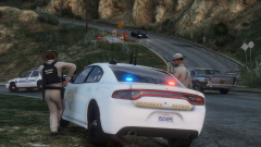 GTA5_V1O493Vxlp.png