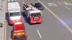 FDNY Sattelite pic2.jpg