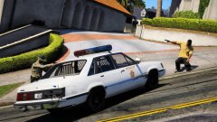 Ford LTD '83 LSSD/LASD