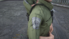 Grand Theft Auto V Screenshot 2022.07.04 - 21.57.30.80.png