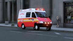 2002 FDNY Sprinter pic1.jpg