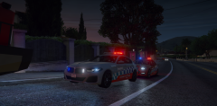 cop2.png