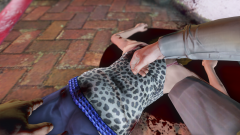 Grand Theft Auto V Screenshot 2022.08.20 - 18.15.56.39.png