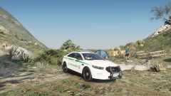 doing ranger things.png