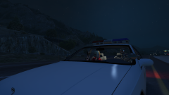 Grand Theft Auto V 21_08_2022 09_40_49.png