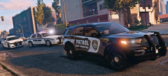 1180234233_LSPDFR13.png