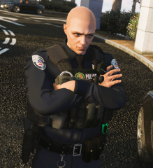 LSPDFR 14.png