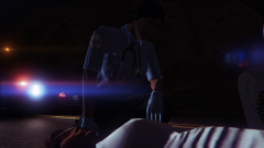 Grand Theft Auto V Screenshot 2022.09.03 - 17.54.44.76.png