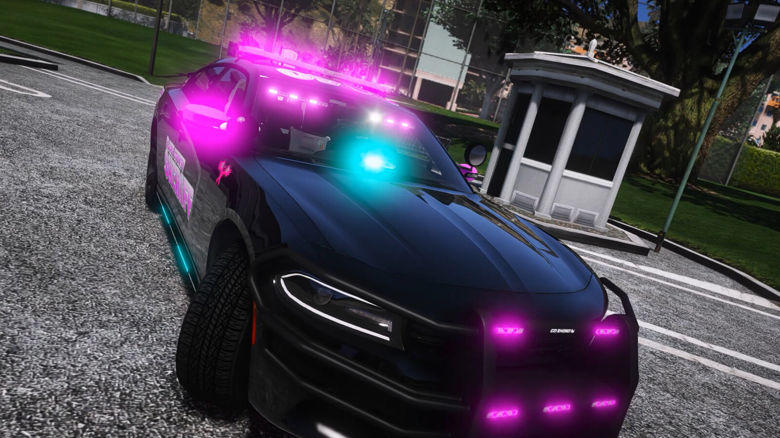 Breast Cancer Support BCSO Charger
