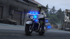 Grand Theft Auto V 8_21_2022 10_16_04 PM.png