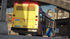 2019 NovaBus LFS Diesel MTA Img2