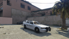 gold coast private security.png