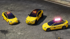 Tesla Model 3 & Mustang Mach E NYC Taxi