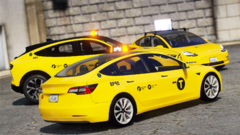 Tesla Model 3 & Mustang Mach E NYC Taxi