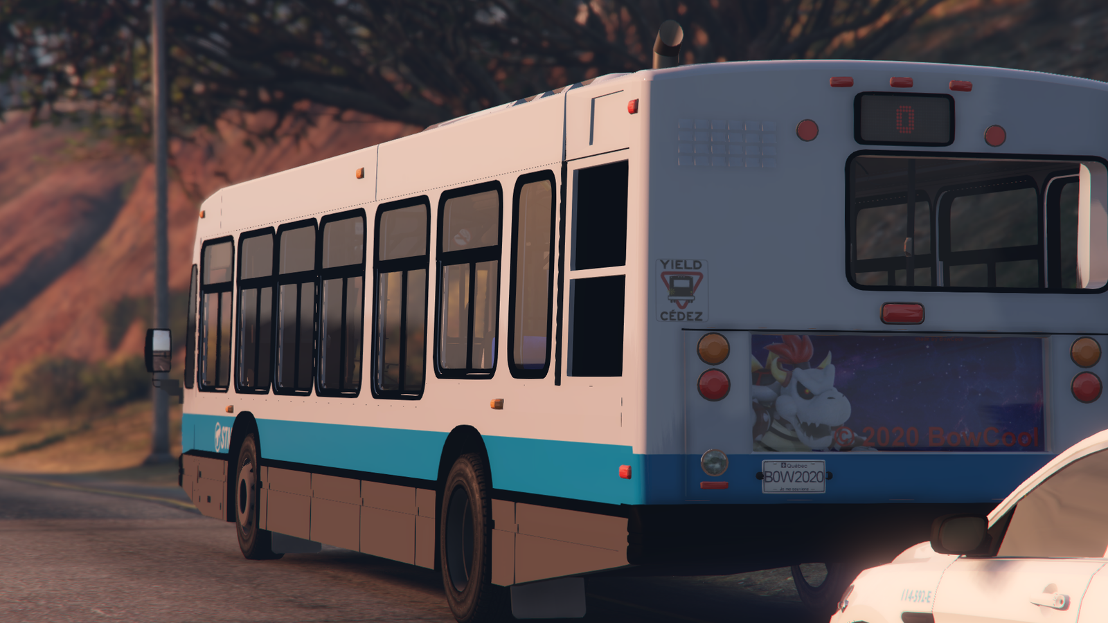 STM bus inspection