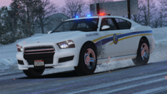 Grand Theft Auto V 11_9_2022 8_01_12 PM.png