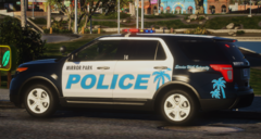 Mirror Park Police