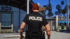 Del Perro Police (North Tonawanda, NY Inspired)
