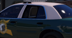 Scratched CVPI Window Guards