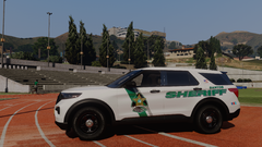 Santos County Sheriff's Office 2020 FPIU