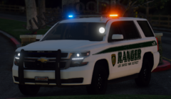 Zion Park District - Cruise lights