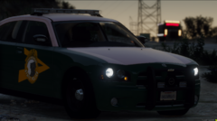 NHSP 09 Charger