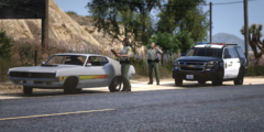 Traffic Stop - LSSD