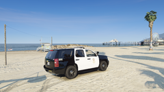 cruisin the beach.png