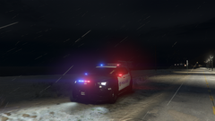 lights in the rain.png