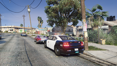 red light runner.png