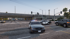 in the miiddle of the street.png