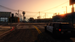 Patrolling in the sunset