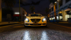 LSPDFR #3.png
