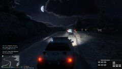 Moon in the woods