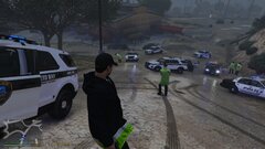 Real pursuit